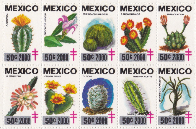 Mexico 2000 TB Christmas Seal