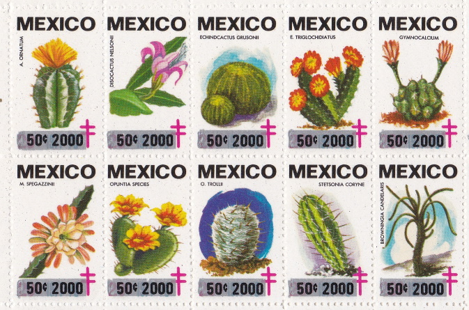 Mexico 2000 TB Christmas Seal