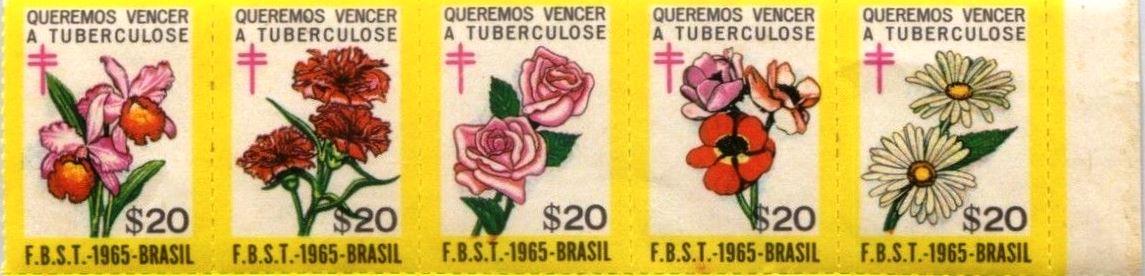 Brazil #33 TB Christmas Seal