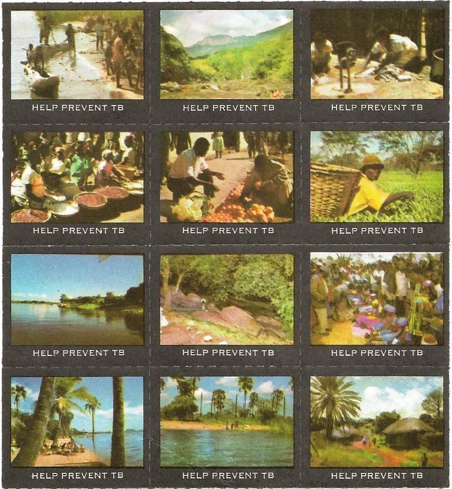 Malawi #1 TB Christmas Seal