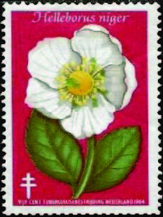 Netherlands TB Christmas Seal