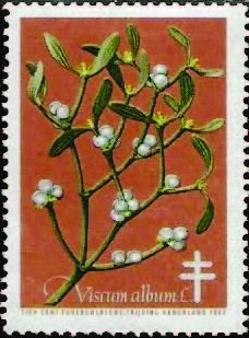 Netherlands TB Christmas Seal