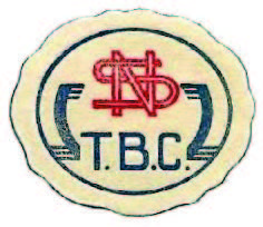 Netherlands TB Christmas Seal