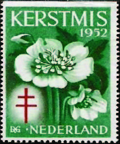 Netherlands TB Christmas Seal