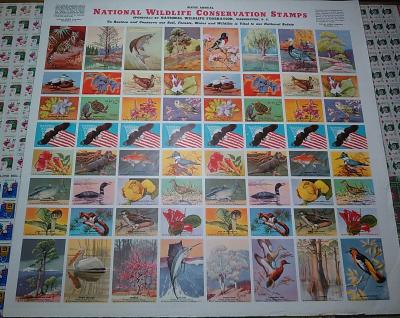 National Wildlife Federation 1943 imperforate proof National Wildlife Federation 1943 imperforate proof
