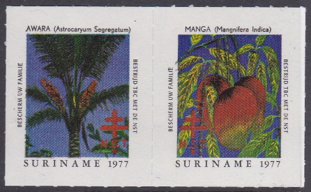 Suriname #19 TB Christmas Seal